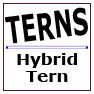 Hybrid Tern