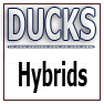 DUCKS-Hybrids