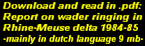 Download and read in .pdf: Report on wader ringing in Rhine-Meuse delta 1984-85 