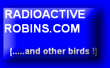 radioactiverobins.com and other birds