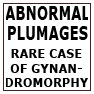 ABNORMAL PLUMAGES-RARE CASE OF GYNANDROMORPHY