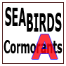 SEABIRDS-Cormorants-A