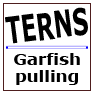 Garfish pulling