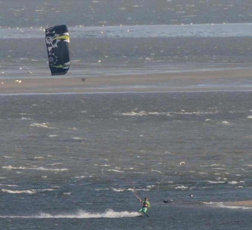 Kite surfing in European SSI surfer disturbs seals 06072009 Hinder,Oostvoorne,The Netherlands.jpg