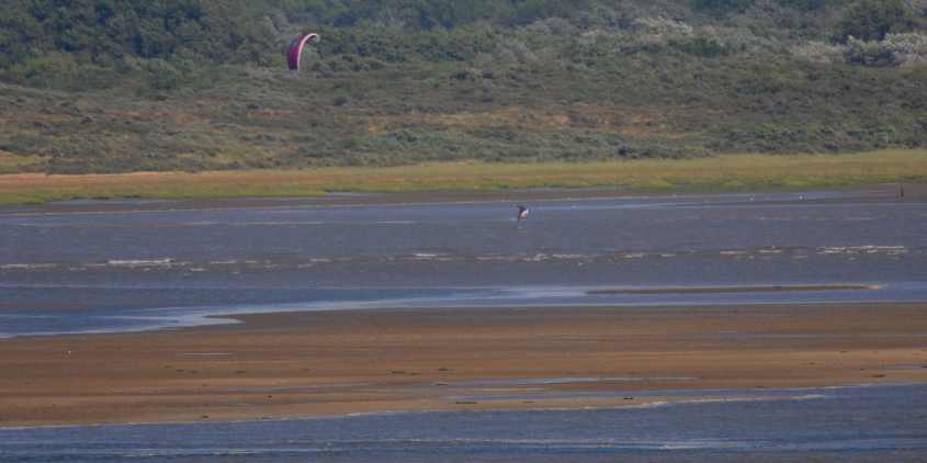 Kite-surfing in European SSI where most birds have fled 12072009 5010 Oostvoorne, The Netherlands.jpg