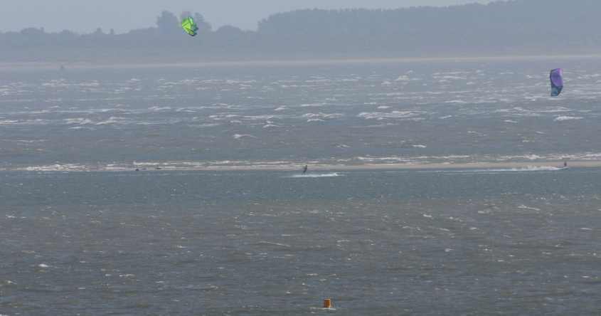 Kite-surfing in European SSI with seals, 12072009 4632 Hinder Oostvoorne, The Netherlands.jpg