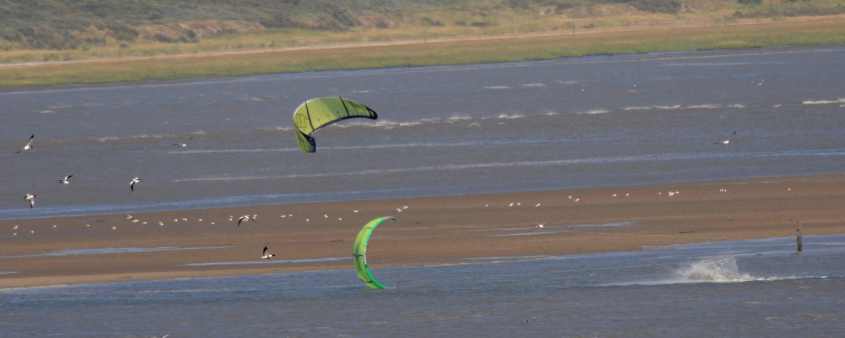 Kite-surfing in European SSI, emptying sandbanks 12072009 5148 Oostvoorne, The Netherlands.jpg