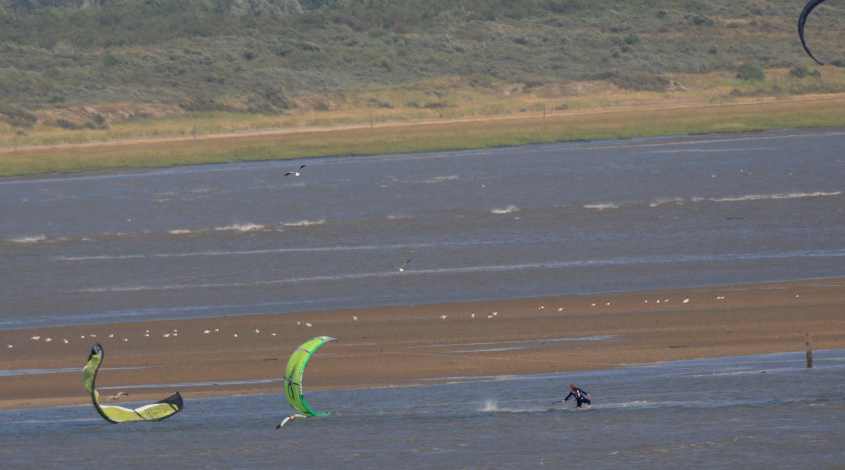 Kite-surfing in European SSI, emptying sandbanks 12072009 5151 Oostvoorne, The Netherlands.jpg