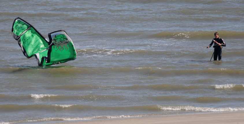 Kite-surfing in European SSI, lost and coming ashore & disturbing roost 12072009 4971 Hinder Oostvoorne, The Netherlands.jpg