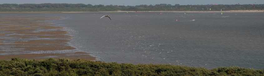 Kite-surfing in European SSI, tide comig in 12072009 4640 Westplaat,Oostvoorne, The Netherlands.jpg