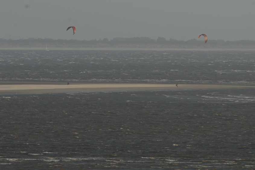 kite-surfing in European SSI surfers on empty seal resting area 28062008 Oostvoorne,The Netherlands.jpg
