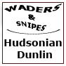 Hudsonian Dunlin