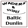 Baltic Dunlin