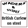 British Curlew on steel